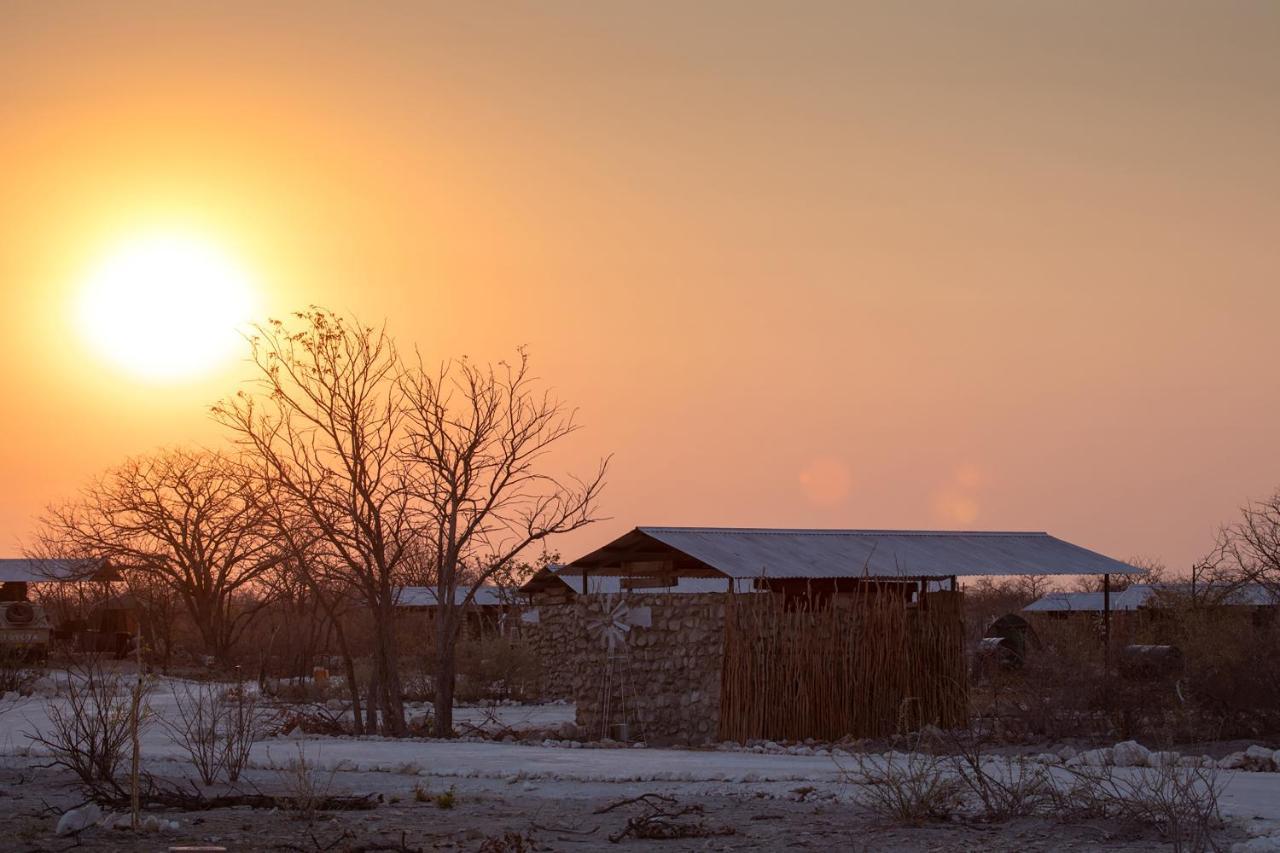 Etosha Trading Post Campsite Окаукуехо Екстериор снимка